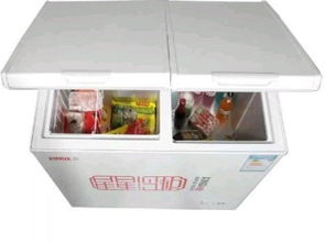 重慶家電設備轉讓 雙溫大容量冰柜，價格從優