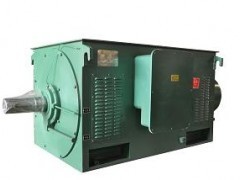 供應(yīng)Y系列中型高壓三相異步電動機 高效可靠的工業(yè)動力選擇